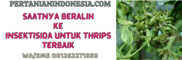 jual,murah,terjangkau,toko pertanian terdekat,pertanian indonesia
